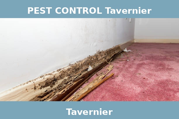 PEST CONTROL Tavernier